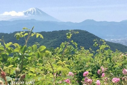 富士山の見える農場へ！！